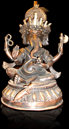 welcome to shrestha traders